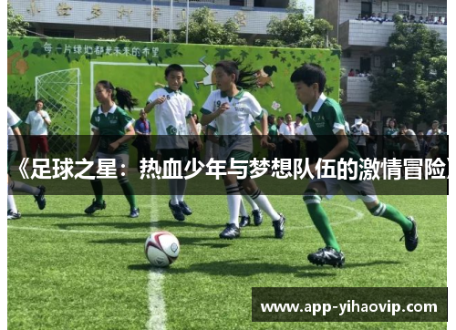 《足球之星：热血少年与梦想队伍的激情冒险》