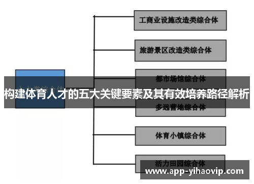 构建体育人才的五大关键要素及其有效培养路径解析