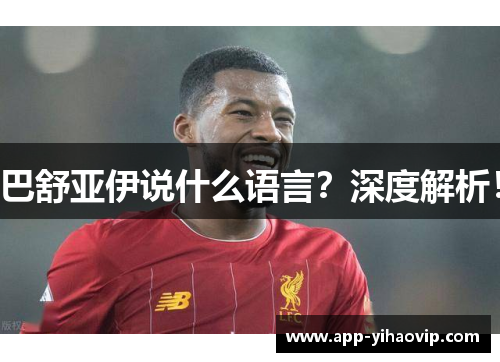 巴舒亚伊说什么语言？深度解析！